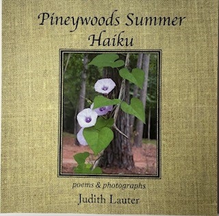 Pineywoods Summer Haiku